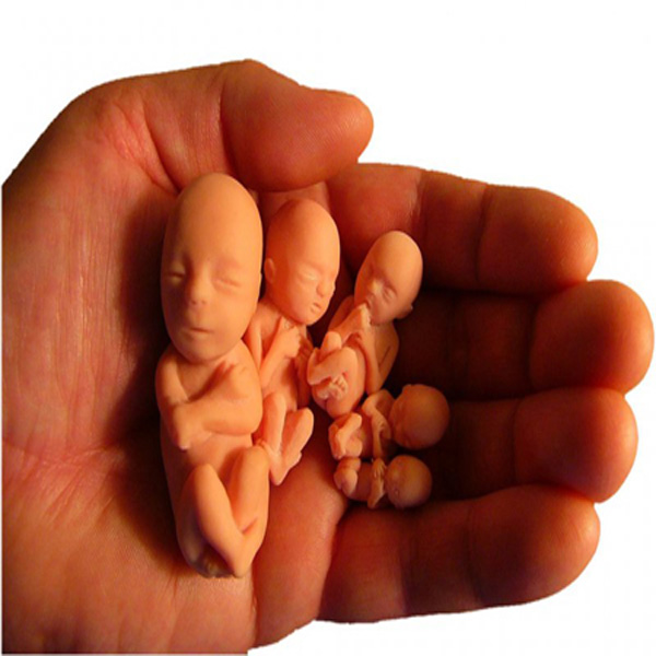خطرات سقط عمدی جنین برای مادران