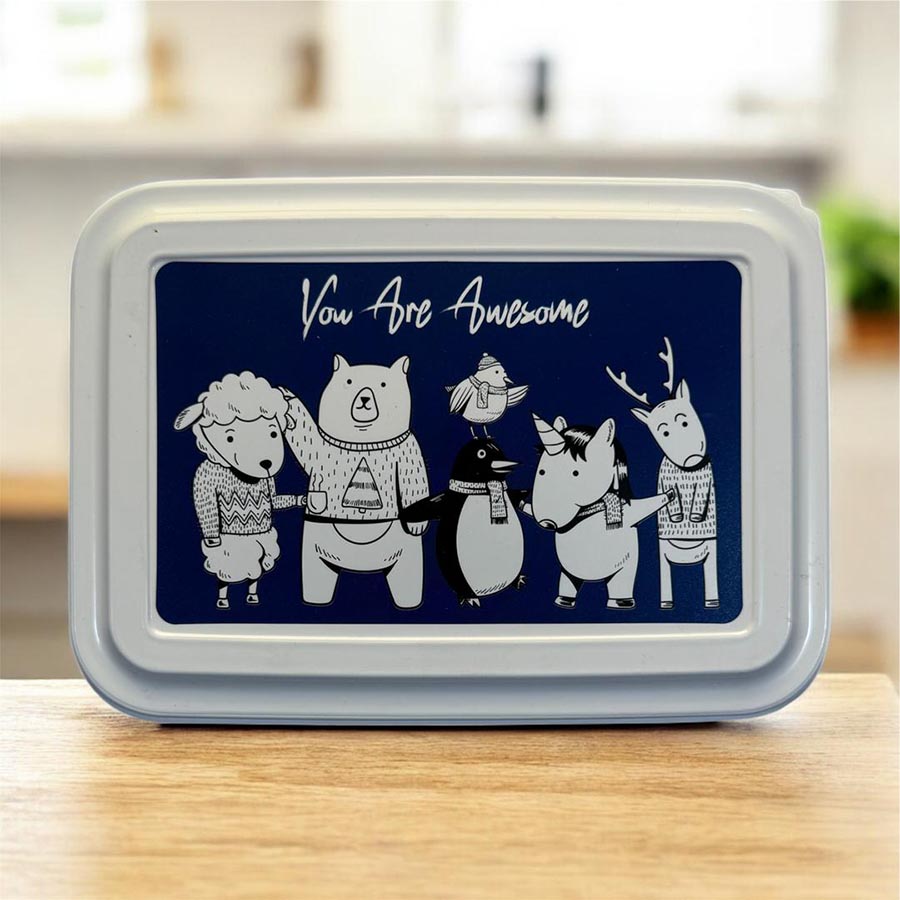 ظروف نگهدارنده مستطیلی 4 سایز Fresh Keeps درب رنگی