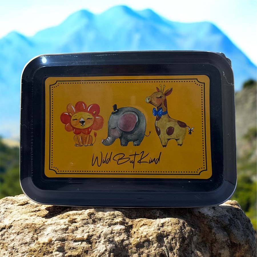 ظروف نگهدارنده مستطیلی 4 سایز Fresh Keeps درب رنگی