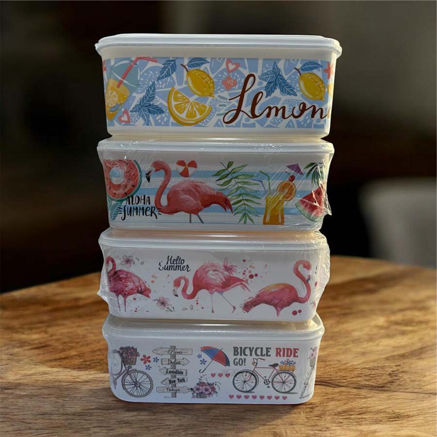 ظروف نگهدارنده مستطیلی 4 سایز Fresh Keeps طرحدار