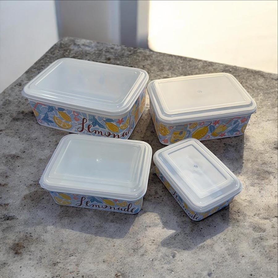 ظروف نگهدارنده مستطیلی 4 سایز Fresh Keeps طرحدار