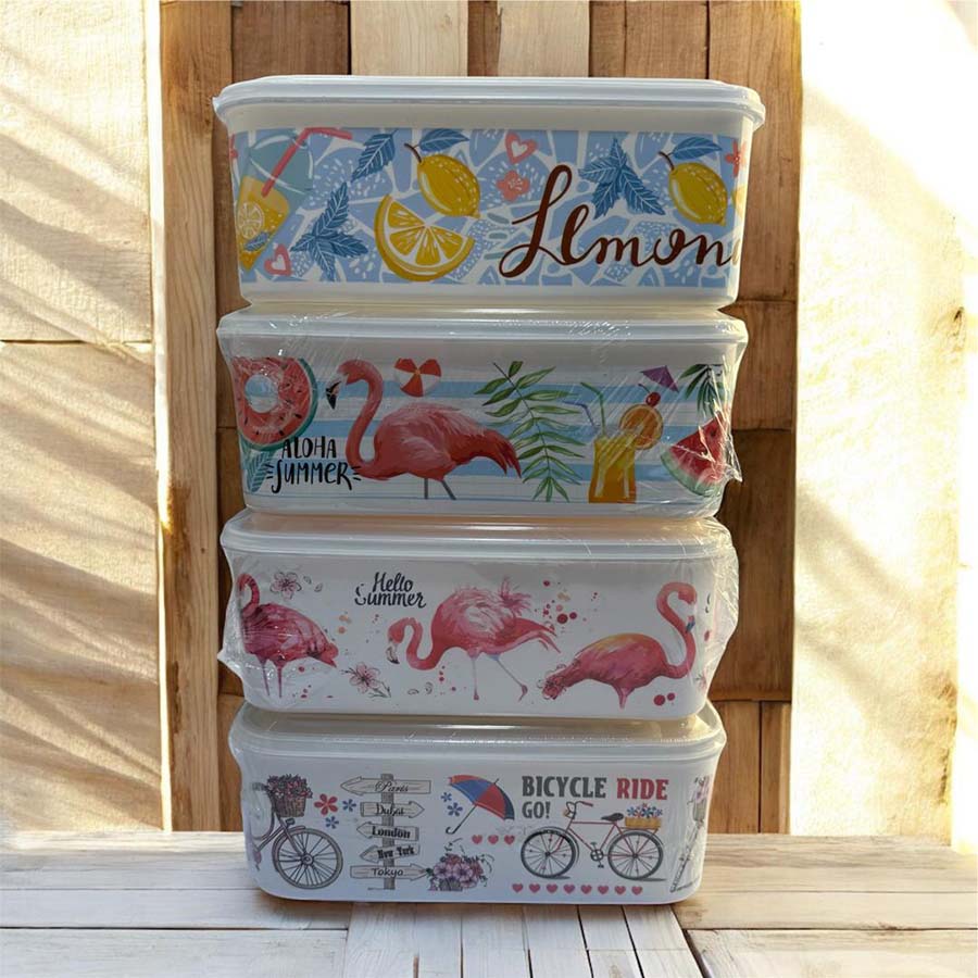 ظروف نگهدارنده مستطیلی 4 سایز Fresh Keeps طرحدار