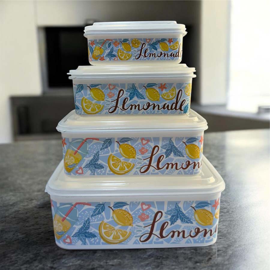 ظروف نگهدارنده مستطیلی 4 سایز Fresh Keeps طرحدار