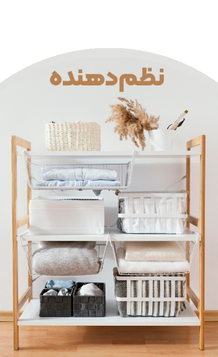 نظم دهنده