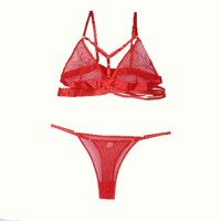 ست لباس زیر فانتزی شورت و سوتین توری برند SHEIN کد 108