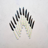 کارد میوه خوری استیل برند ALONG طرح دسته گلدار 12 عددی